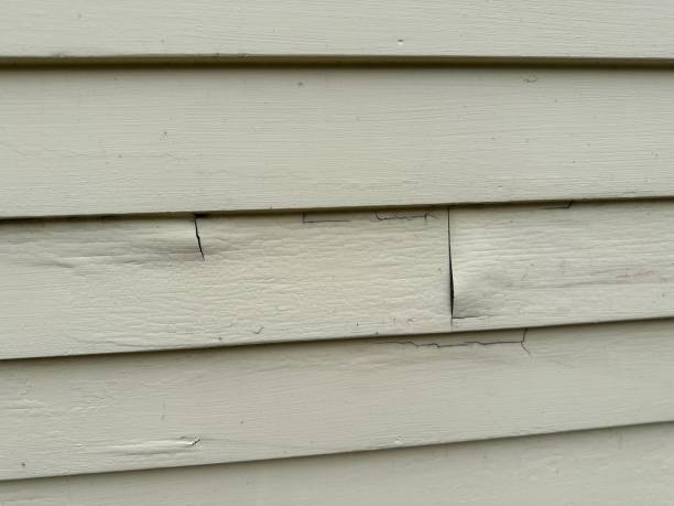 Best Engineered Wood Siding  in Mcconnellstown, PA